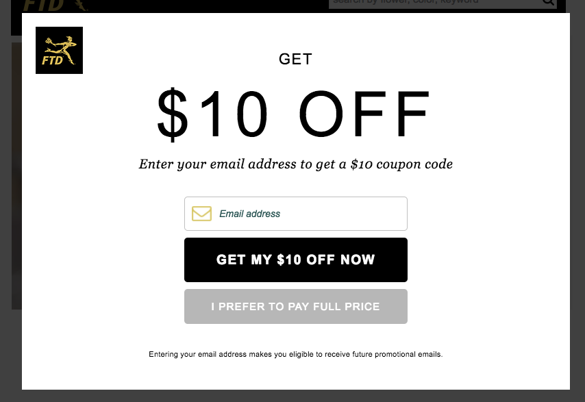 Exit-Intent Ad Example