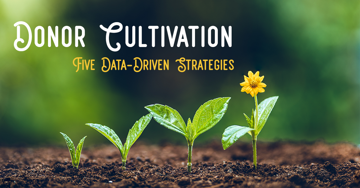 Donor Cultivation - Five Data-Driven Strategies - blog image